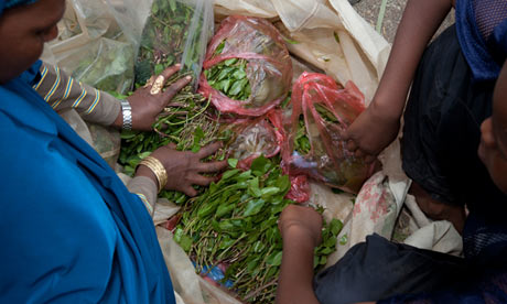 Street scene with khat sellers - Old Town, Harar Ethiopia, Africa