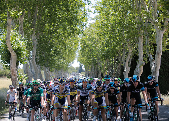 Tour de France stage 6: Line of trees