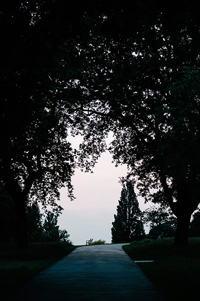 Canonlowlight: The end of a tree-lined road