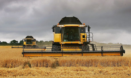 Two combine harvesters