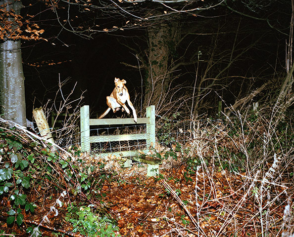 Fresh Faced and Wild Eyed: Lorna Evans