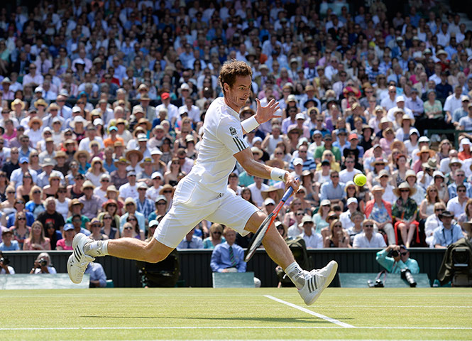 tennis final: tennis