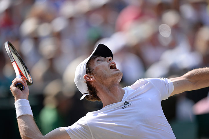 tennis final: tennis