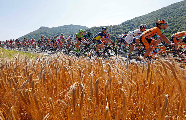 cycling: The pack of riders cycles
