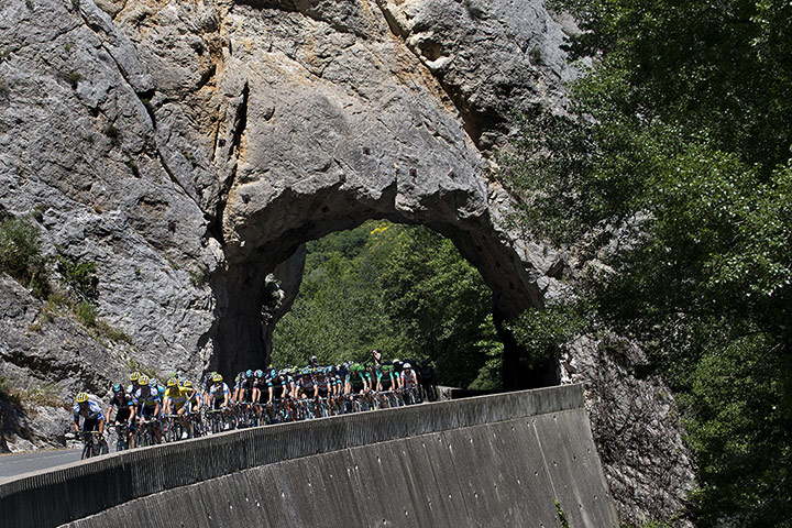 cycling: The pack rides during the 195 km eighth