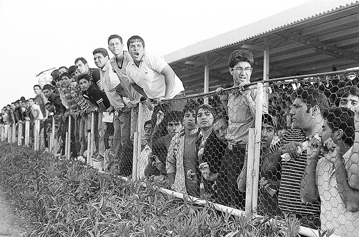 Iran gallery : Horse racing near Tehran 
