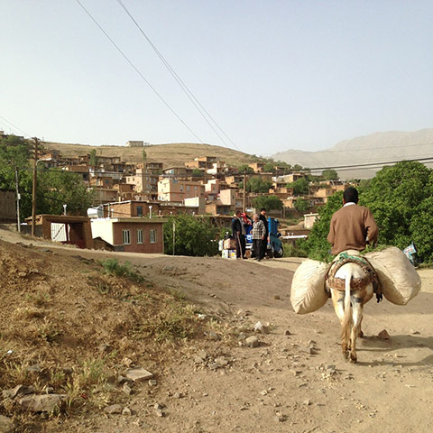 Iran gallery : Gashani village, western Iran  