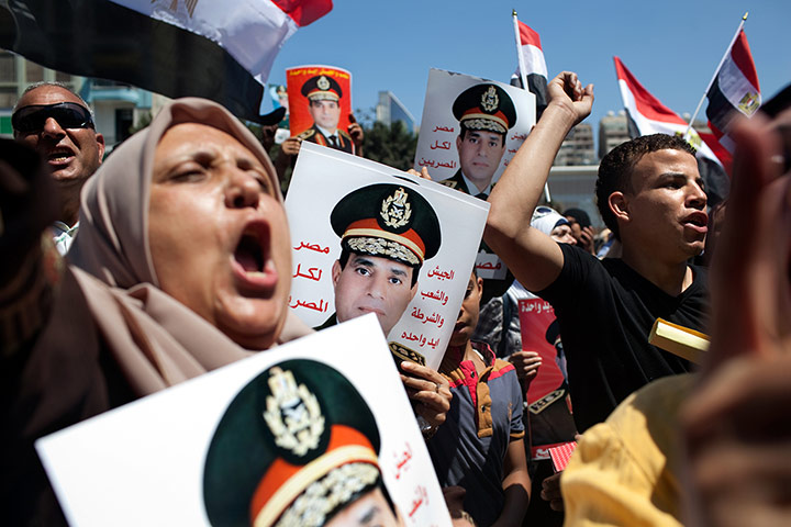 Holly Pickett pictures: Military Coup in Egypt