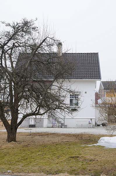 homes - norway house: white house with tree and grass 