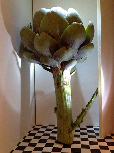 your pictures - produce: artichoke shot on checkered floor surface