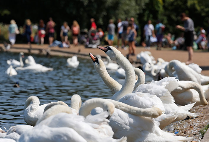 Hot weather day in pics: Britain's summer weather day in pictures