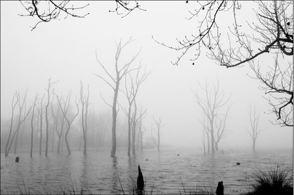 Fracking: Northumberland