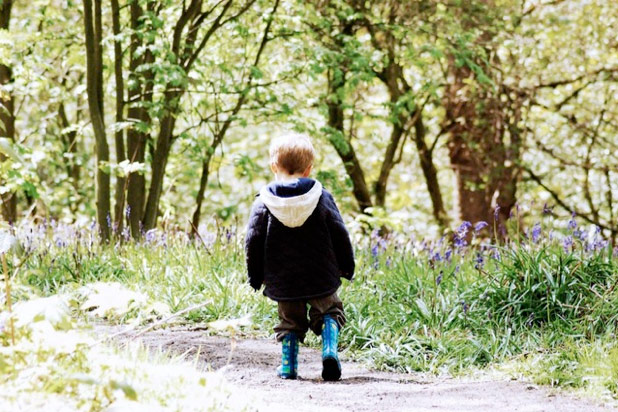 Fracking: spring bluebells