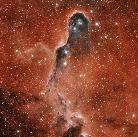 A month in Space: IC 1396A Elephant Trunk Nebula