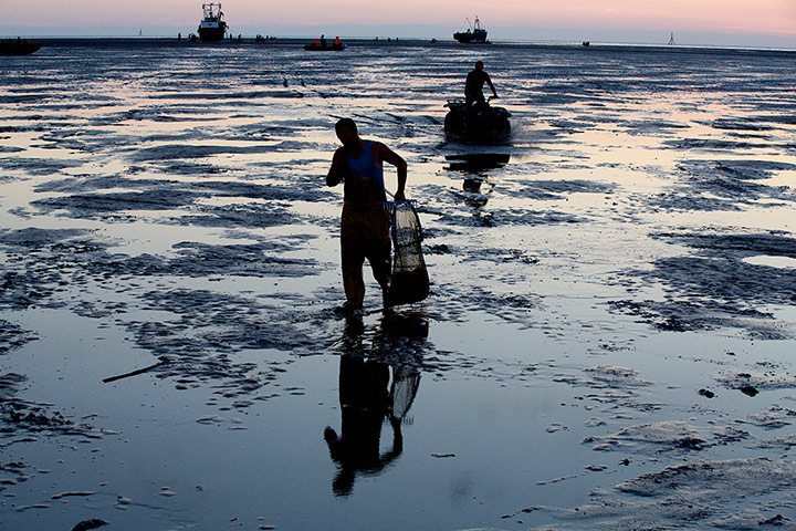 Lytham cocklers: Lytham cocklers in pictures