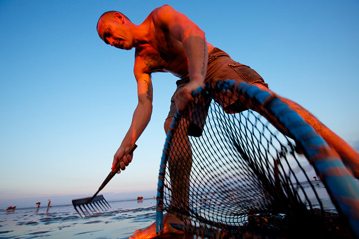 Lytham cocklers: Lytham cocklers in pictures