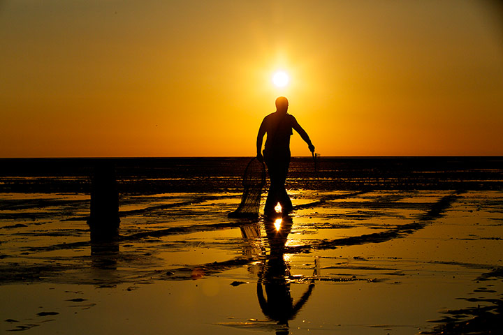 Lytham cocklers: Lytham cocklers in pictures