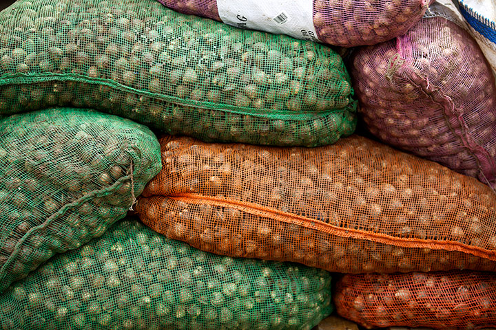 Lytham cocklers: Lytham cocklers in pictures