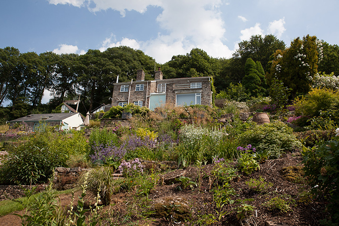 Slope Gardening: slope gardening