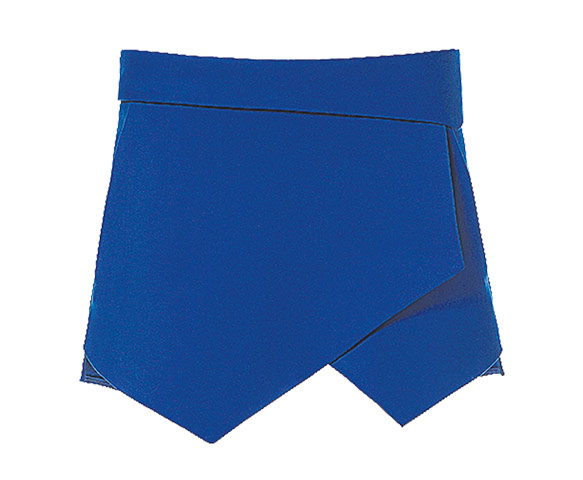 shorts: Blue skort
