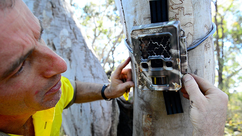 Wildcount: John Porter