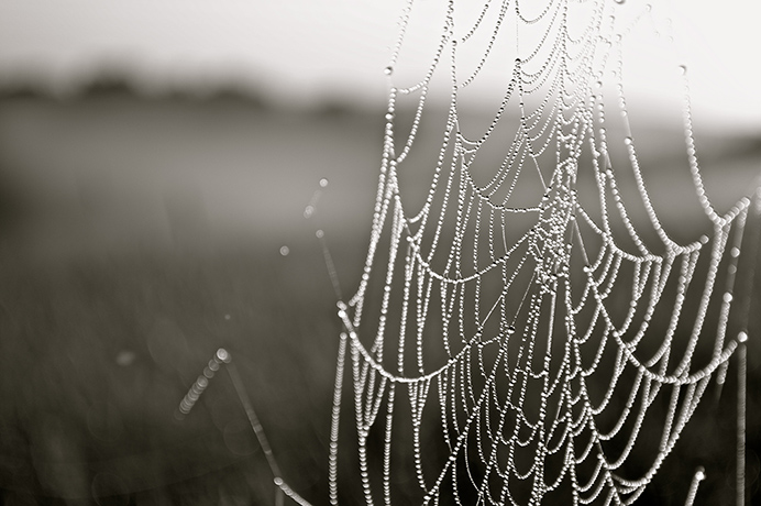 Readers pictures: Readers pictures - patience