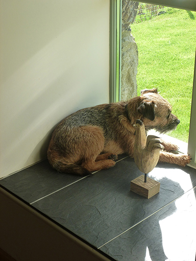 Readers pictures: Readers pictures - patience