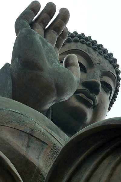 Readers pictures: Readers pictures - patience