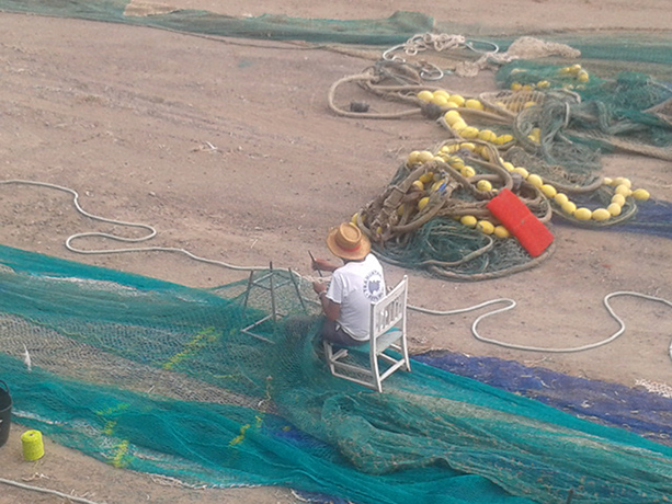 Readers pictures: Readers pictures - patience