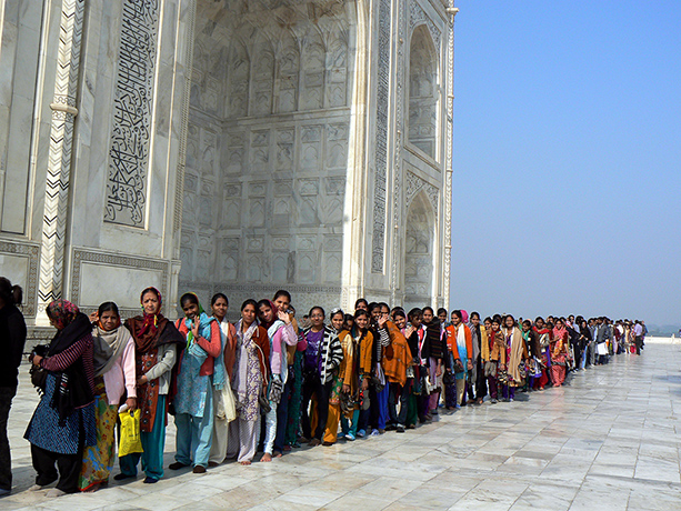 Readers pictures: Readers pictures - patience