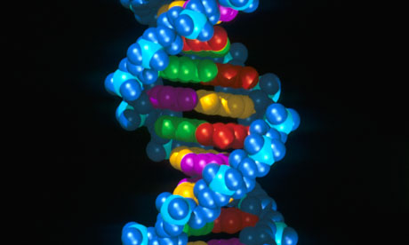 Computer model of DNA molecule