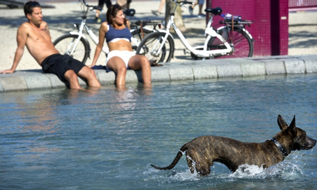 A dog cools off in the water of the fountain at the Museumplein in Amsterdam. Today is expected to become the hottest of the year in the Netherlands.