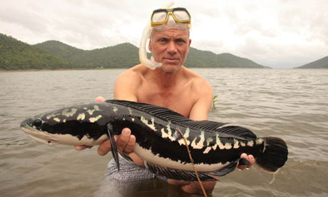 Jeremy Wade, the authentically grizzled British biology teacher turned fisher-king, who is now a big star on US TV