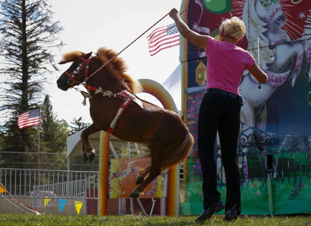 Cattaraugus County Fair in Little Valley, New York.  