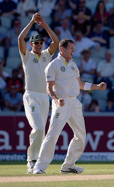 ashes 3rd test day 2: Peter Siddle celebrates getting the wicket of Tim Bresnan 