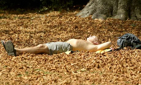man lying on autumn leaves