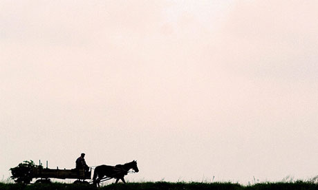 HORSE CART IN BULGARIA