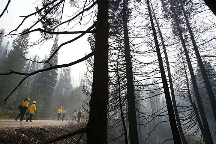 wildfires: idaho