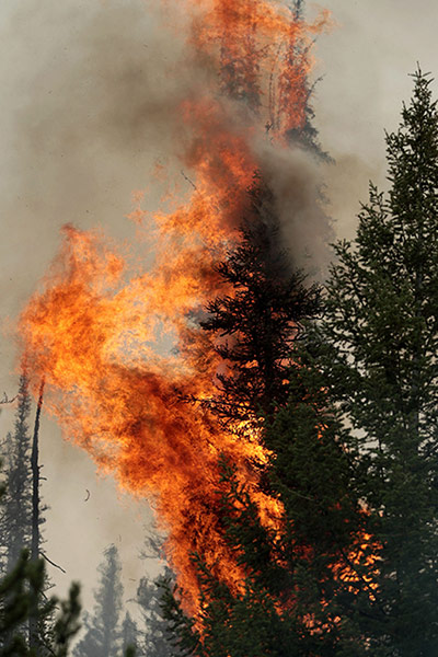 wildfires: idaho