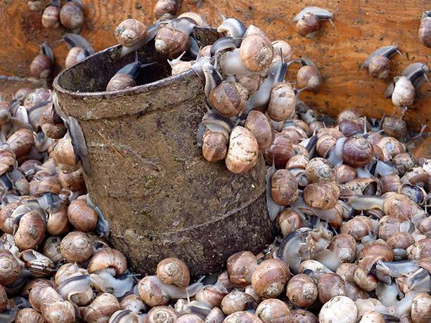 Readers Pictures - slide: Readers Pictures - slide