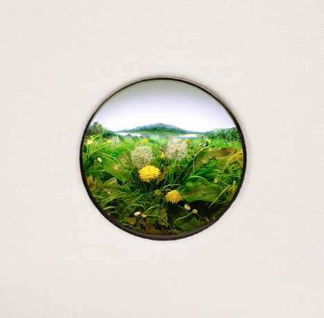 No Small Dreams: Patrick Jacobs, Dandelion Cluster #7, 2012