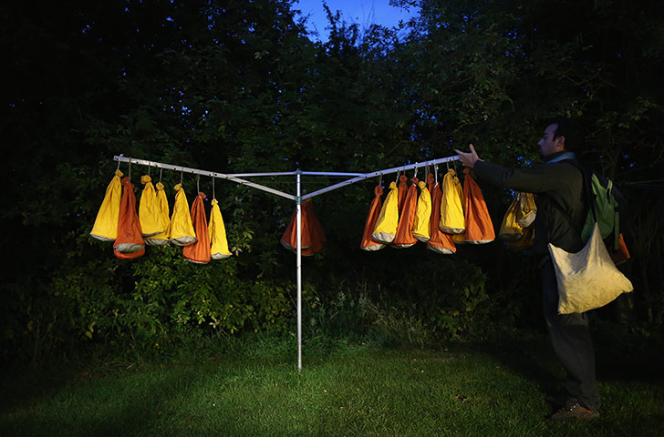 Recording Birds: Birds Are Recorded At One Of The Worlds Largest Ringing Stations