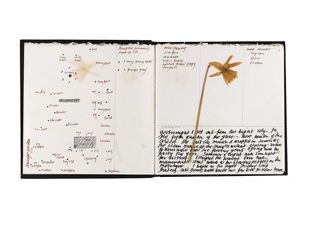 Derek Jarman: Derek Jarman