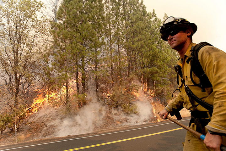 wildfire: California wild fire near Yosemite
