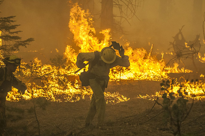 wildfire: California Wildfires 2013 -Rim Fire_