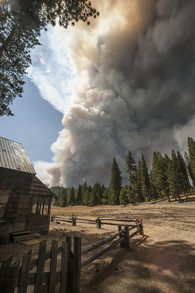wildfire: California Wildfires 2013 -Rim Fire_