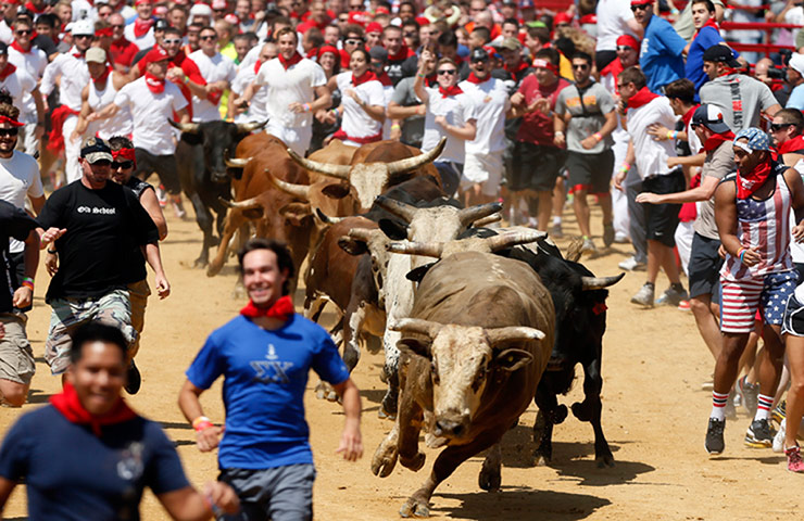 us bull run: bull run