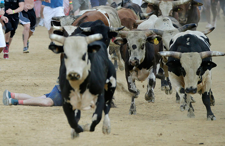 us bull run: Man lies unconscious 