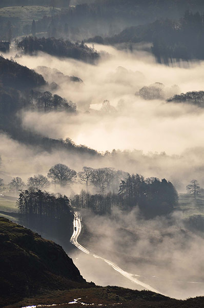 Woodland Trust : 2013 Woods & wildlfe photography competition