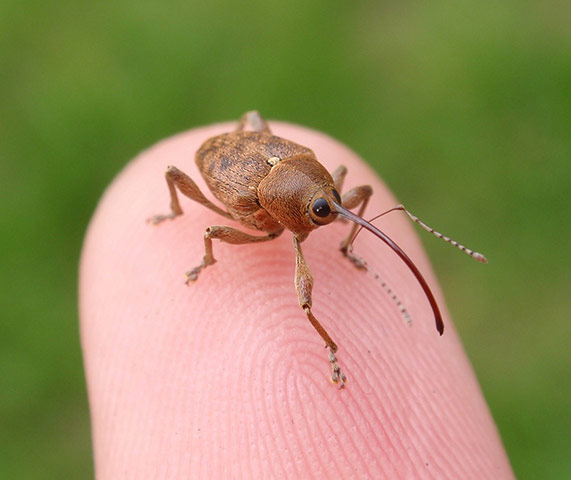 Woodland Trust : 2013 Woods & wildlfe photography competition